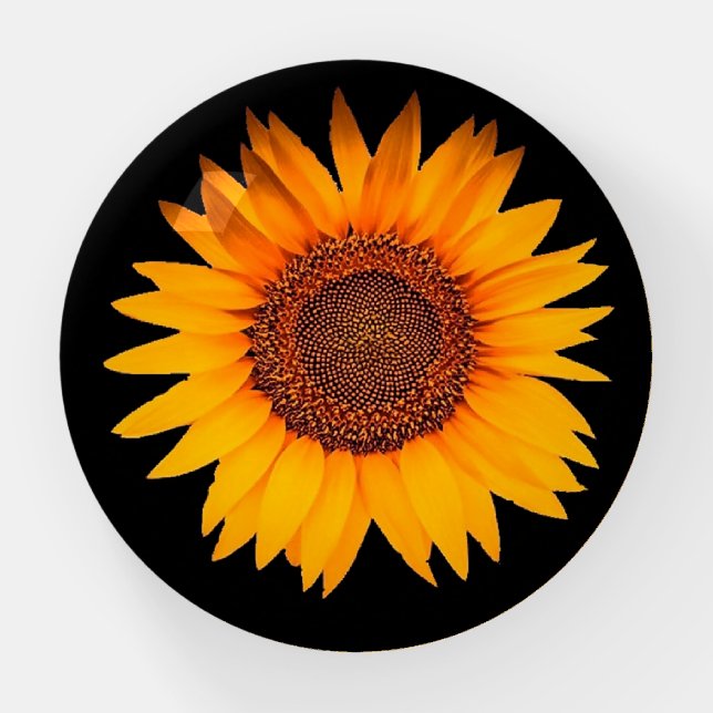 Sunflower Paperweight (Front)