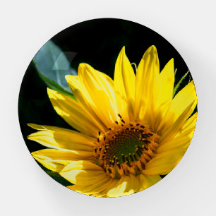 Sunflower Paperweight