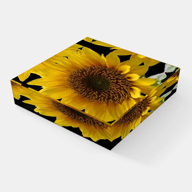 Sunflower Paperweight (Angled)