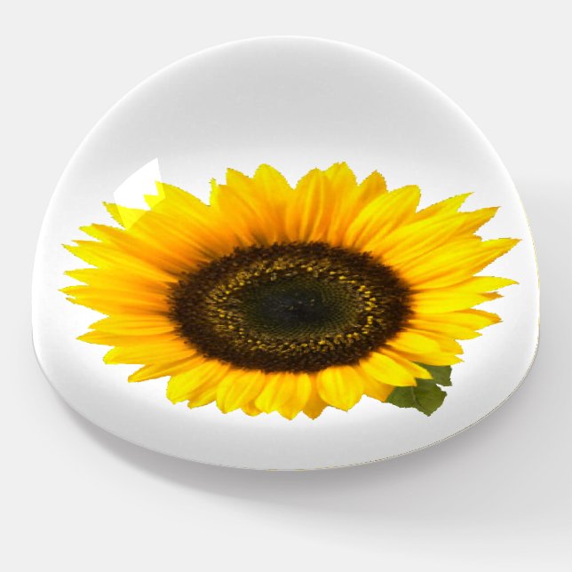 Sunflower Paperweight (Angled)