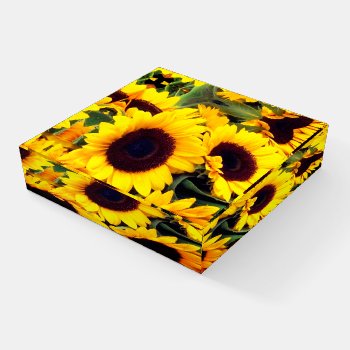 Sunflower Paperweight by MarblesPictures at Zazzle