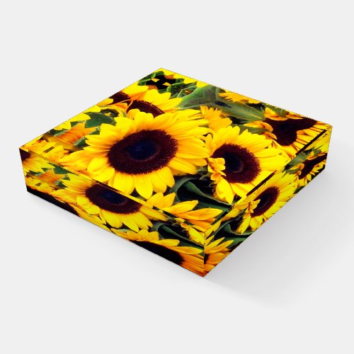 Sunflower Paperweight