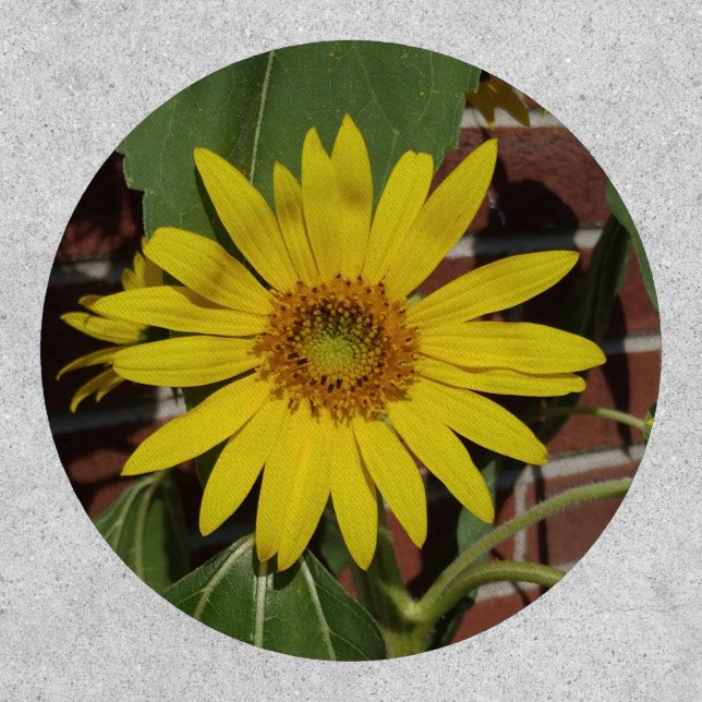 Sunflower Patch (Front)
