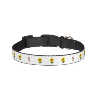 Sunflower Pet Collar