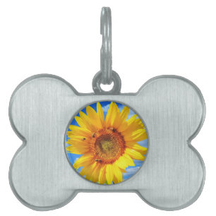 Sunflower Pet ID Tag