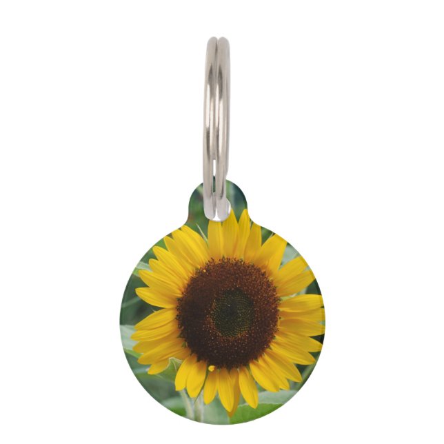 Sunflower Pet Name Tag (Front)