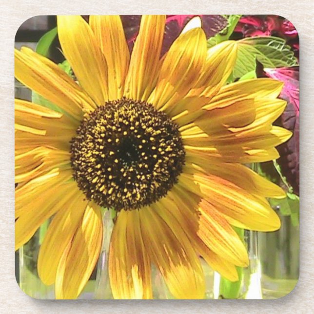 Sunflower Petal Cork Coaster (Front)