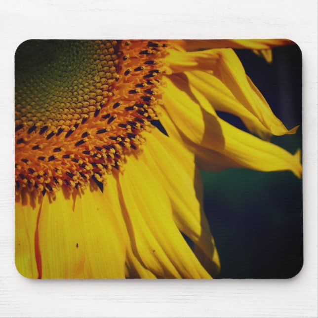 Sunflower Petals Close Up Mouse Pad (Front)