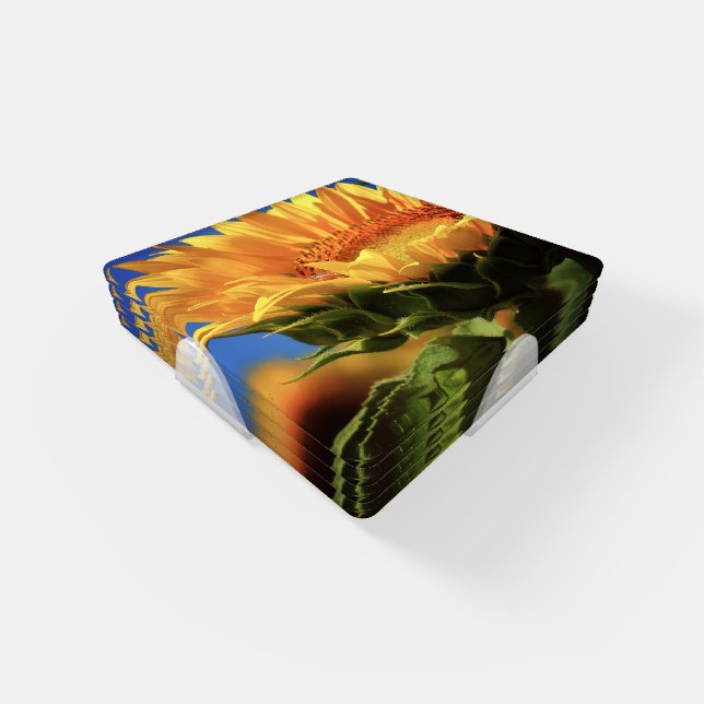 Sunflower Petals Coaster Set (Set)