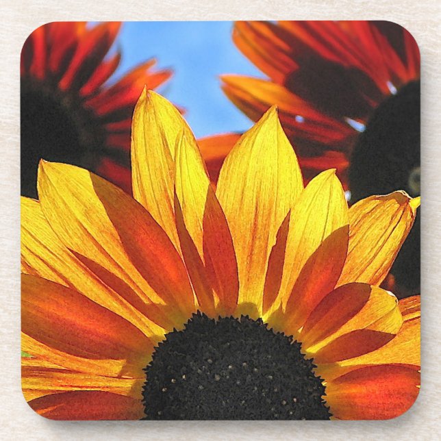 Sunflower Petals Drink Coaster (Front)