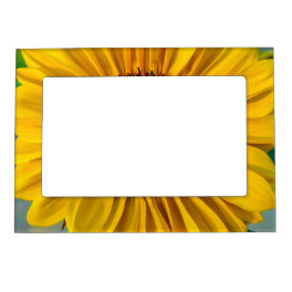 Sunflower Petals Magnetic Frame