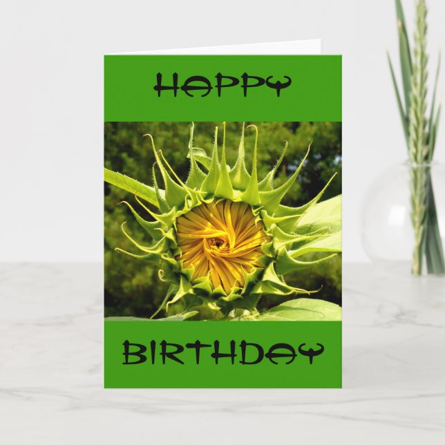 Sunflower photo Birthday Card (Front)
