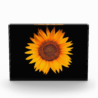 Sunflower Photo Block