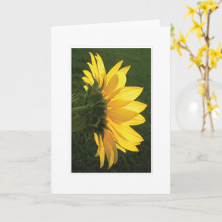 Sunflower Photo Card