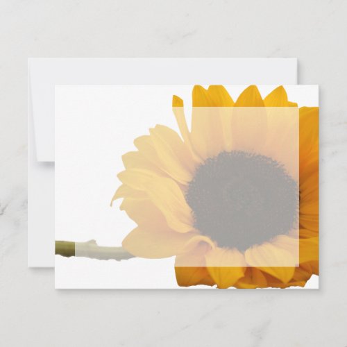 Sunflower Photo Flat Note Cards