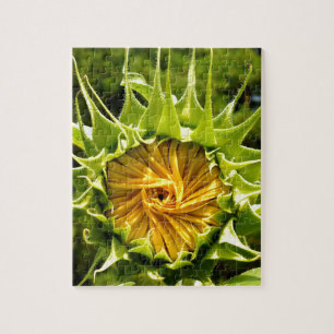 Sunflower photo jigsaw puzzle