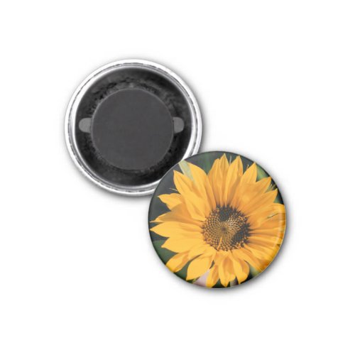 Sunflower Photo Magnet