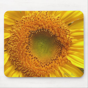 Sunflower Photo Mousepad