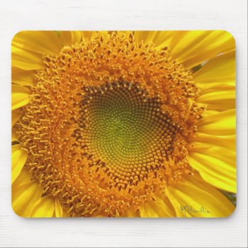 Sunflower Photo Mousepad by lifethroughalens at Zazzle