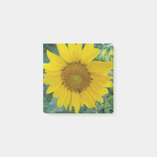 Sunflower Photo Post-it Notes