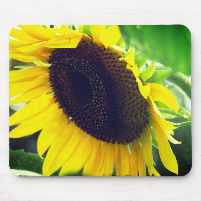 Sunflower Photo printed on a Mousepad (Front)