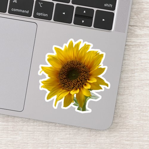 Sunflower Photo Sticker