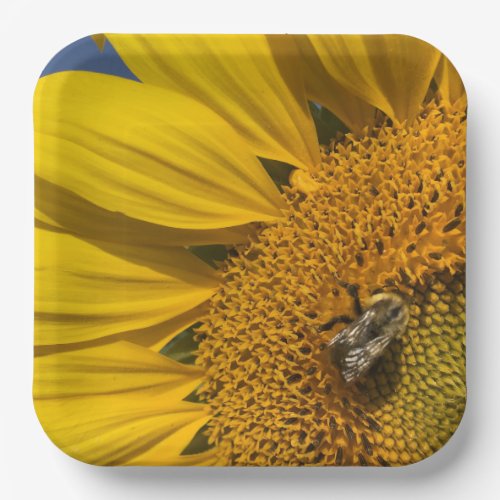 Sunflower Photo Summer Bee Botanical Garden Paper Plates