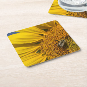 Sunflower Photo Summer Bee Botanical Square Paper Coaster