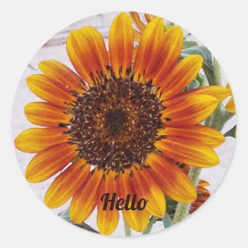 Sunflower Photo with Yellow Orange Gradient Color Classic Round Sticker