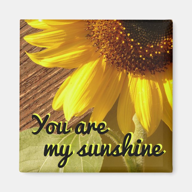 Sunflower Photo You Are My Sunshine Magnet (Front)