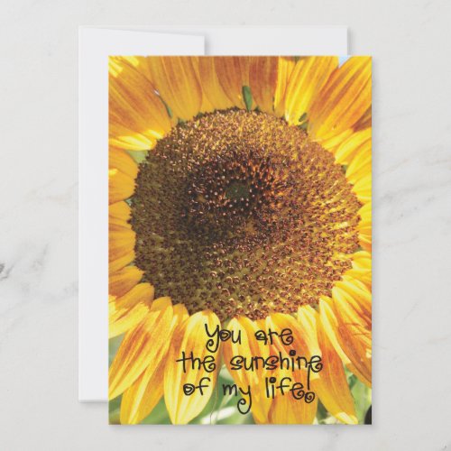 Sunflower Photograph  You Are the Sunshine Thank You Card