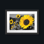 Sunflower Photography Framed Art<br><div class="desc">Sunflower Flower Yellow Splash of Colour Art Photography. Yellow selective/partial colour</div>