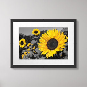 Sunflower Photography Framed Art