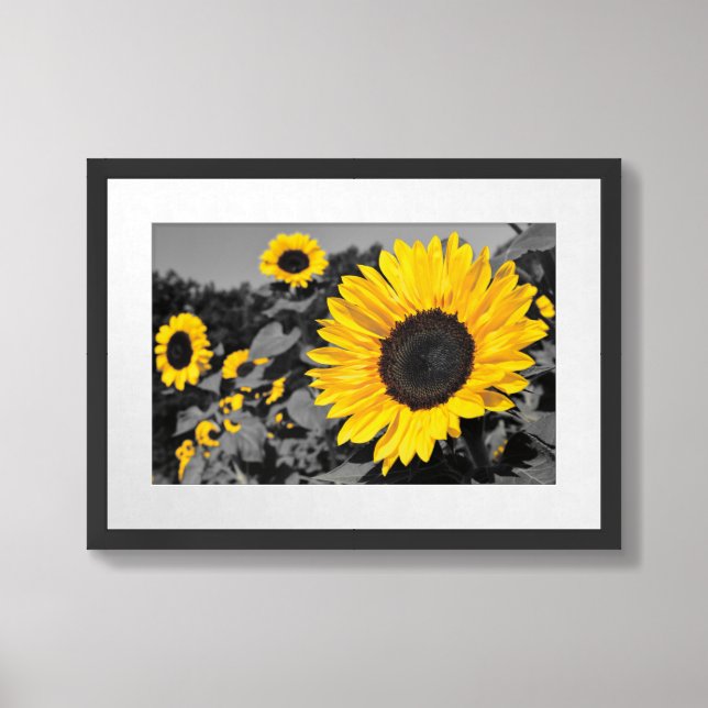 Sunflower Photography Framed Art (Framed Front)