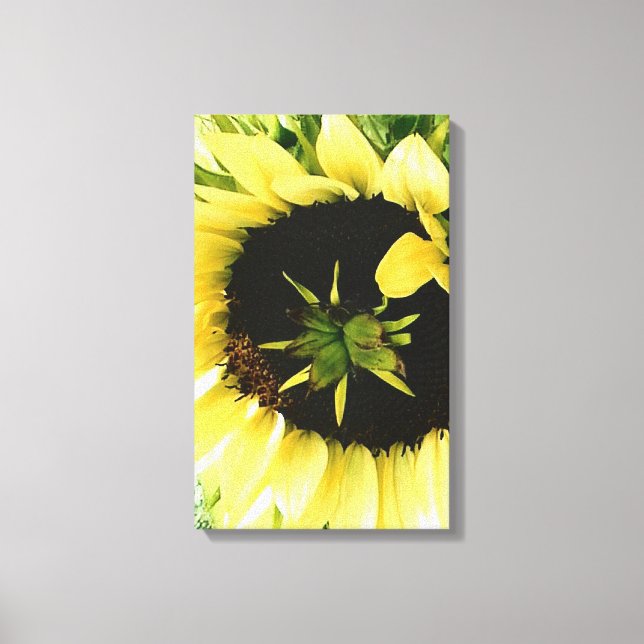 Sunflower Picture Canvas (Front)