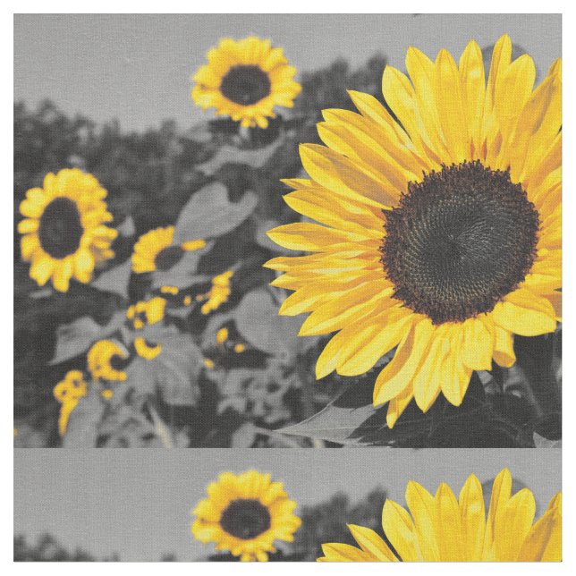 Sunflower Picture Fabric (Close Up)