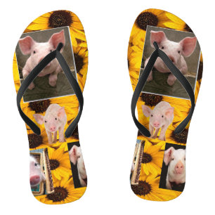 Sunflower Pigs Flip Flops