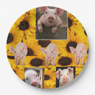 Sunflower Pigs Paper Plates