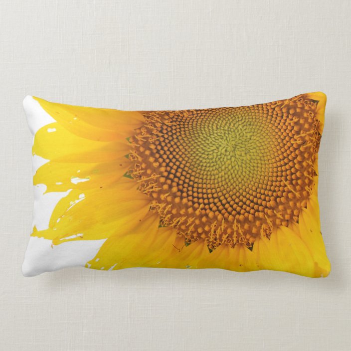 sunflower rainbow pillow