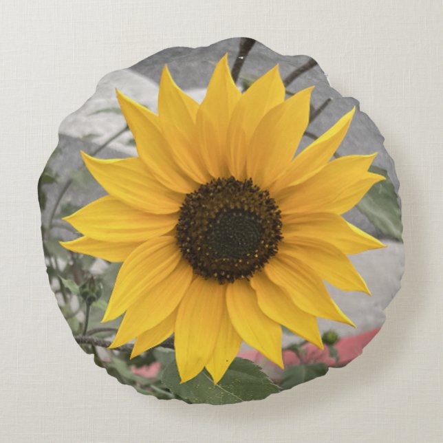 Sunflower Pillow (Back)