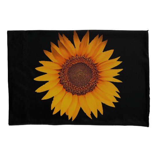 sunflower rainbow pillow