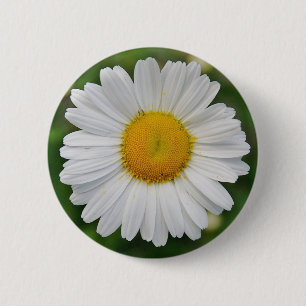 Sunflower Pinback Button