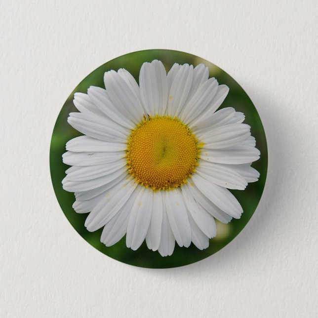 Sunflower Pinback Button (Front)