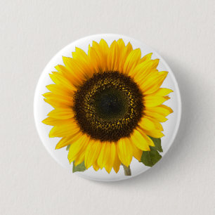 Sunflower Pinback Button