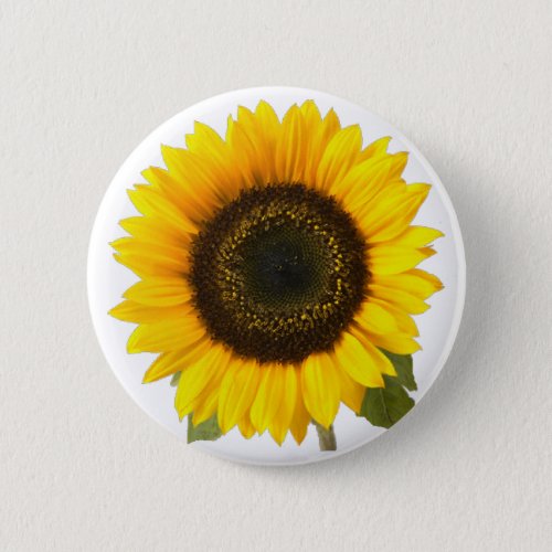 Sunflower Pinback Button