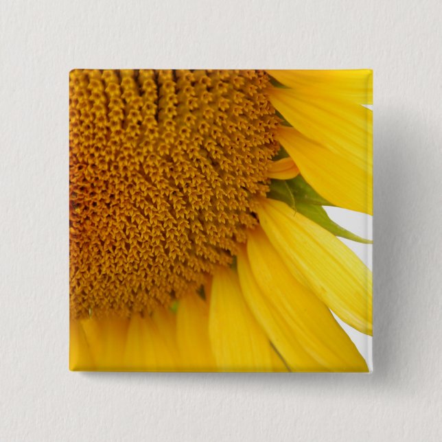 Sunflower Pinback Button (Front)