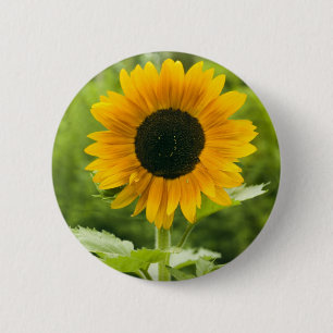 Sunflower Pinback Button