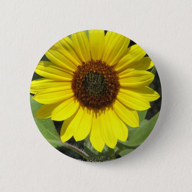 Sunflower Plant Round Button (Front)