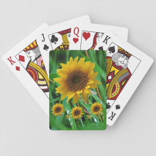 Sunflower Playing Card Deck