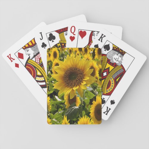 Sunflower Playing Card Deck